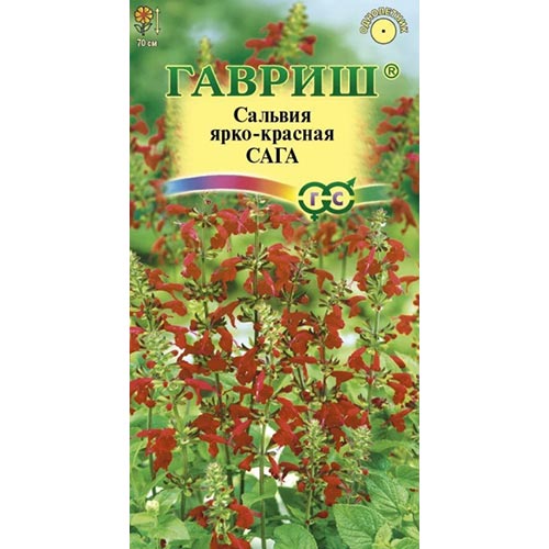 Сальвия Сага, семена изображение 1 артикул 92218