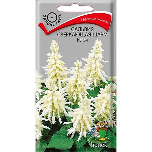 Сальвия Шарм Белая, семена изображение 1 артикул 93110
