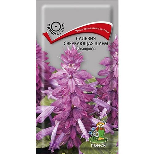 Сальвия Шарм Лавандовая, семена изображение 1 артикул 93111