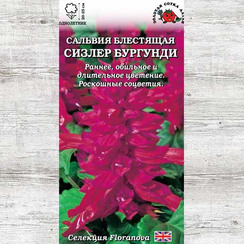 Сальвия Сизлер Бургунди изображение 1 артикул 83668