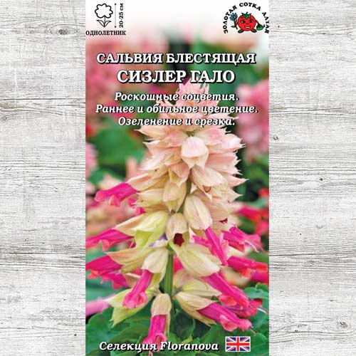 Сальвия Сизлер Гало изображение 1 артикул 83669