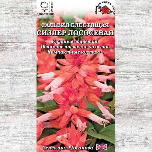 Сальвия Сизлер лососевая изображение 1 артикул 83671