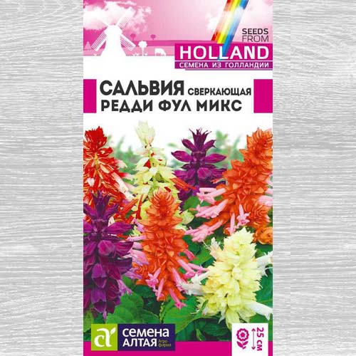 Сальвия сверкающая Редди Фул микс, смесь окрасок изображение 1 артикул 78318