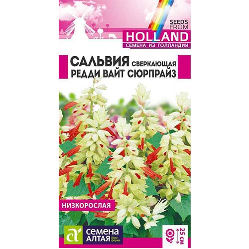 Сальвия Редди Вайт Сюрпрайз Семена Алтая изображение 1 артикул 78317