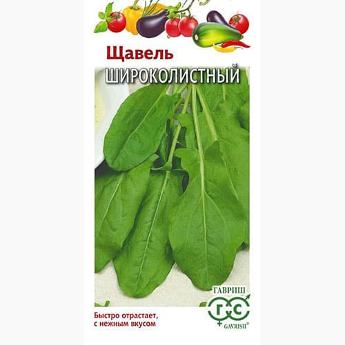 Щавель Широколистный Гавриш изображение 1 артикул 97566