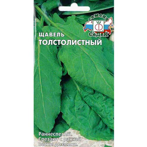 Щавель Толстолистный, семена изображение 1 артикул 93608
