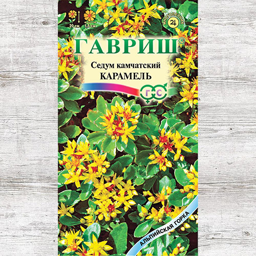 Седум Карамель Гавриш изображение 1 артикул 71103