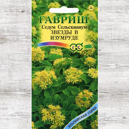 Седум Звезды в изумруде Гавриш изображение 1 артикул 73750