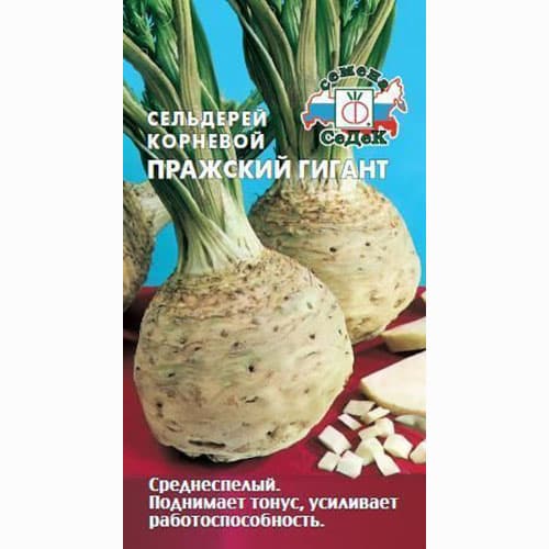 Сельдерей корневой Пражский гигант Седек изображение 1 артикул 71676