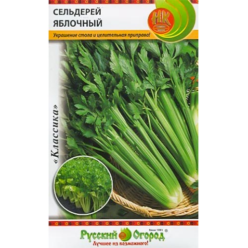 Сельдерей корневой Яблочный, семена изображение 1 артикул 92375