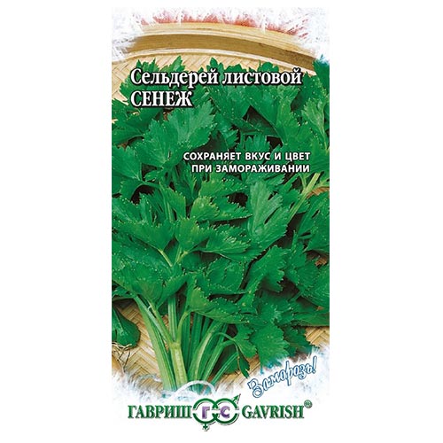 Сельдерей листовой Сенеж, семена изображение 1 артикул 91841