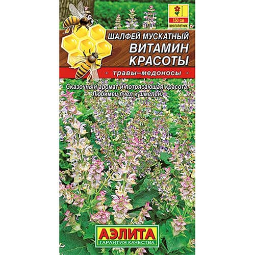 Шалфей мускатный Витамин красоты Аэлита изображение 1 артикул 98801