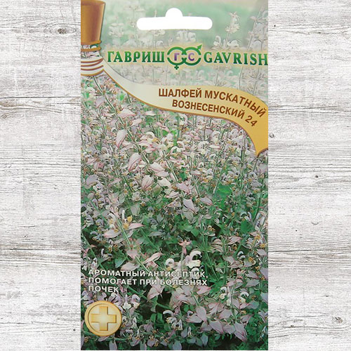 Шалфей мускатный Вознесенский 24 Гавриш изображение 1 артикул 81596