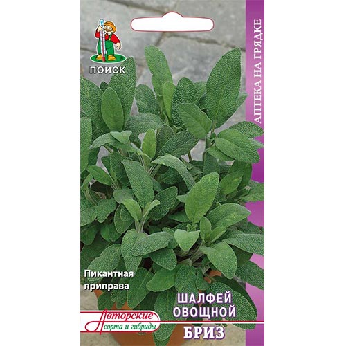 Шалфей овощной Бриз, семена изображение 1 артикул 92834