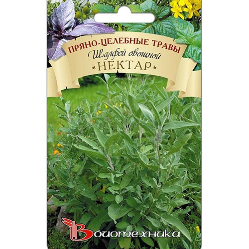 Шалфей овощной Нектар, семена изображение 1 артикул 91538