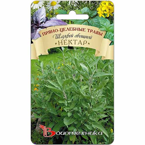 Шалфей овощной Нектар Биотехника изображение 1 артикул 74013