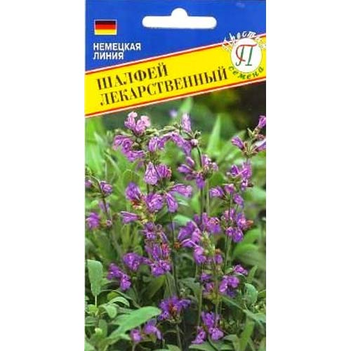 Шалфей лекарственный Престиж изображение 1 артикул 81269