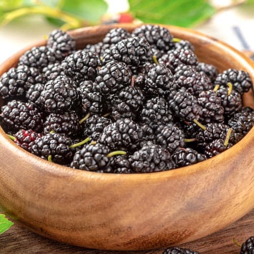 Шелковица Черный Принц изображение 1 артикул 9246