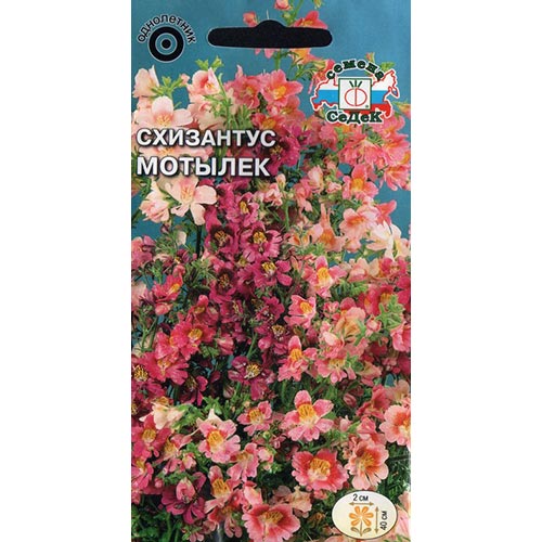 Схизантус Мотылек, смесь окрасок изображение 1 артикул 93980