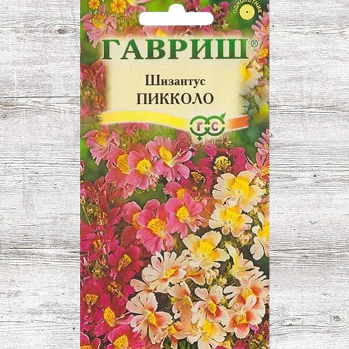 Схизантус перистый Пикколо Гавриш изображение 1 артикул 73933