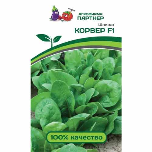 Шпинат Корвер F1 Партнер изображение 1 артикул 84049