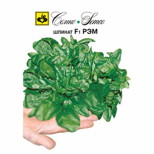Шпинат Рэм F1 Семко изображение 1 артикул 94277