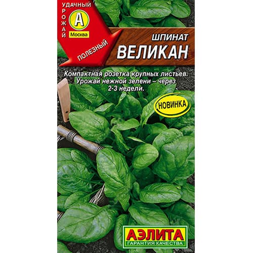 Шпинат Великан Аэлита артикул фото 1 Шпинат Великан Аэлита изображение 1 артикул 98802