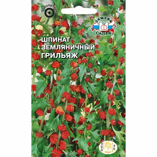 Шпинат земляничный Грильяж Седек изображение 1 артикул 40541