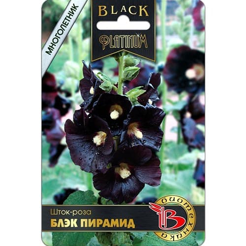 Шток-роза Блэк Пирамид, семена изображение 1 артикул 91610