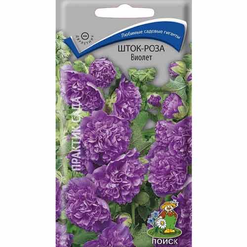 Шток-роза Виолет Поиск изображение 1 артикул 93170