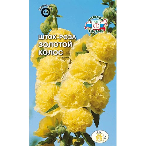 Шток-роза Золотой колос, семена изображение 1 артикул 94011