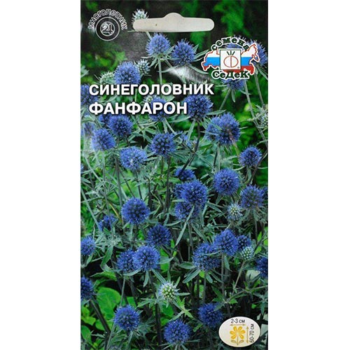 Синеголовник Фанфарон, семена изображение 1 артикул 93971