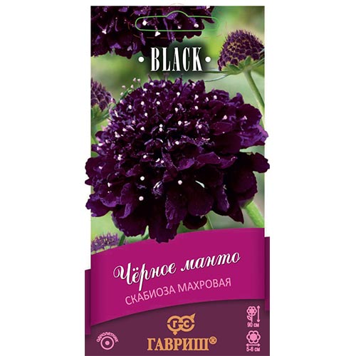 Скабиоза Черное манто, семена изображение 1 артикул 92223