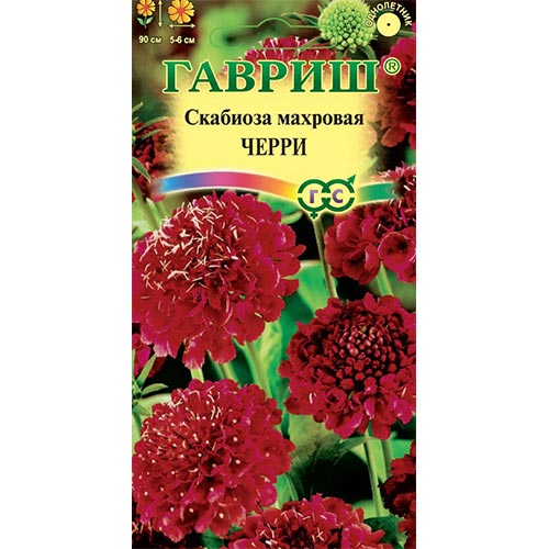 Скабиоза Черри, семена изображение 1 артикул 92224
