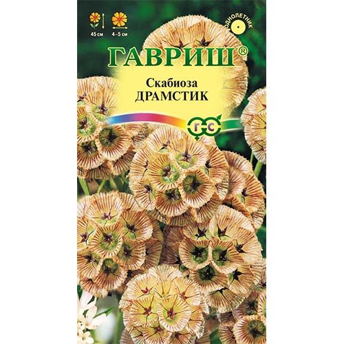 Скабиоза Драмстик, семена изображение 1 артикул 94868
