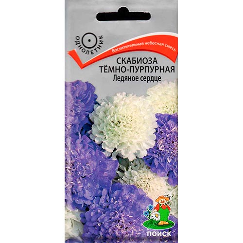 Скабиоза Ледяное сердце, семена изображение 1 артикул 93113