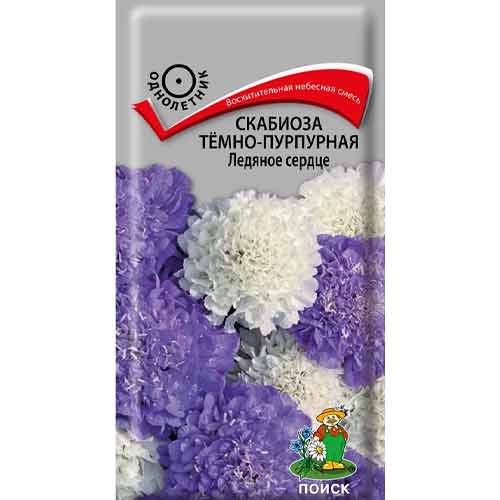 Скабиоза темно-пурпурная Ледяное сердце Поиск изображение 1 артикул 97899