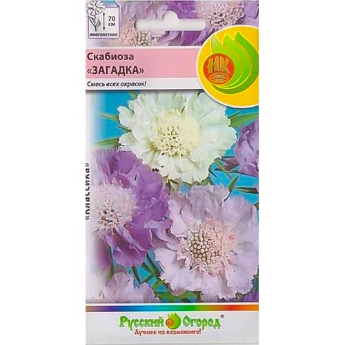 Скабиоза Загадка, смесь окрасок изображение 1 артикул 92630