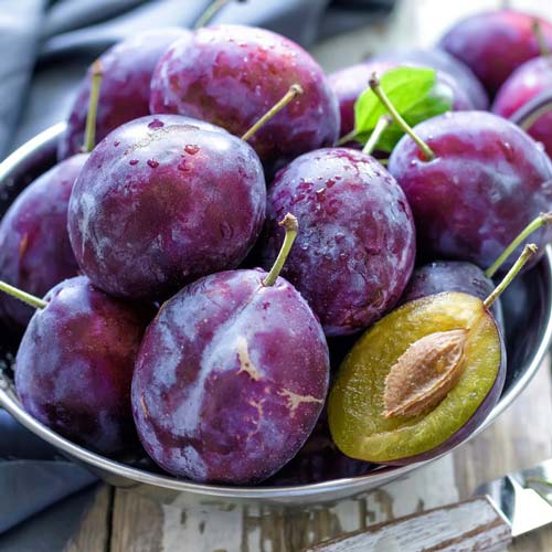 Слива Венгерка итальянская  изображение 1 артикул 8671