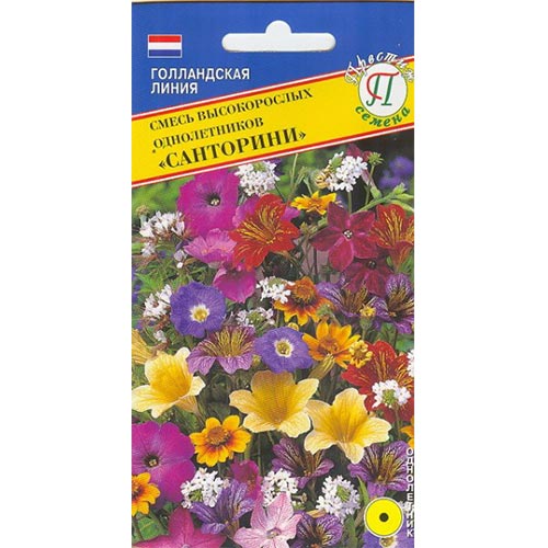 Смесь высокорослых однолетников Санторини, смесь окрасок Престиж изображение 1 артикул 84548