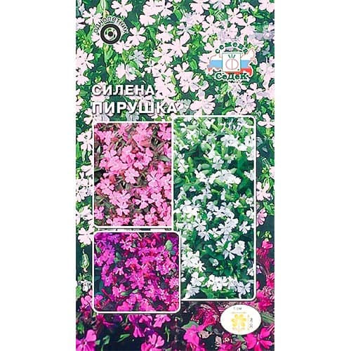 Смолевка (силена) Пирушка, смесь окрасок изображение 1 артикул 93975