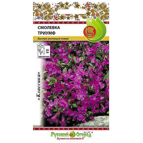 Смолевка (силена) Триумф, семена изображение 1 артикул 92631