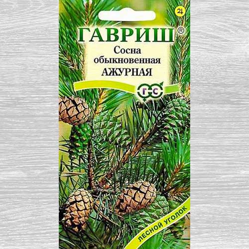 Сосна Ажурная Гавриш изображение 1 артикул 82432