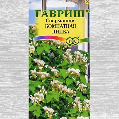 Спармания африканская Липка Гавриш изображение 1 артикул 82433