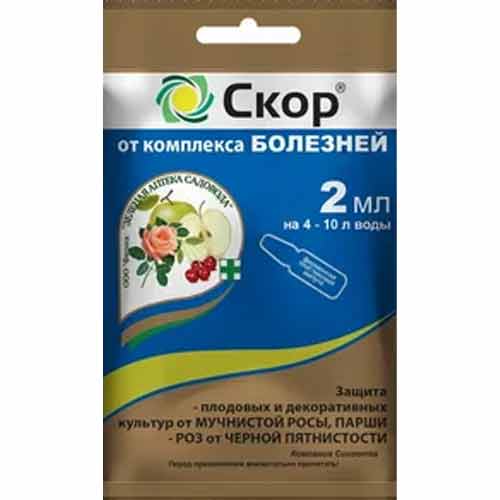 Средство для защиты от болезней Скор артикул фото 1 Средство для защиты от болезней Скор изображение 1 артикул 83312