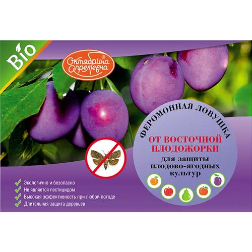 Средство для защиты от вредителей Феромонная ловушка для отлова насекомых-вредителей от восточной плодожорки изображение 1 артикул 85513