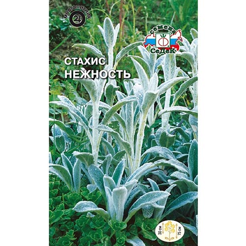 Стахис (чистец) Нежность, семена изображение 1 артикул 93979