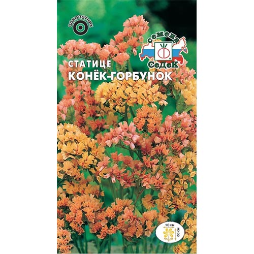 Статица Конек-горбунок, семена изображение 1 артикул 93978