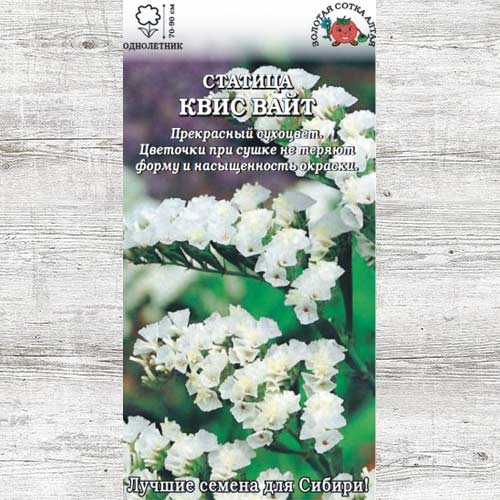 Статица Квис Вайт изображение 1 артикул 83673