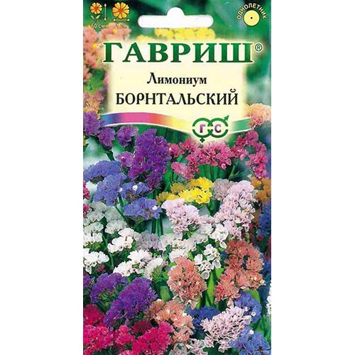 Статица (лимониум) Борнтальский, смесь окрасок изображение 1 артикул 92225